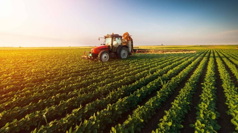 Sowing Sustainability: How NISARG is Transforming Rural Livelihoods Through Eco-Friendly Agriculture
